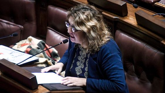 Diputada Cecilia Bottino. Foto: Javier Calvelo / adhocFOTOS Diputada Cecilia Bottino. Foto: Javier Calvelo / adhocFOTOS