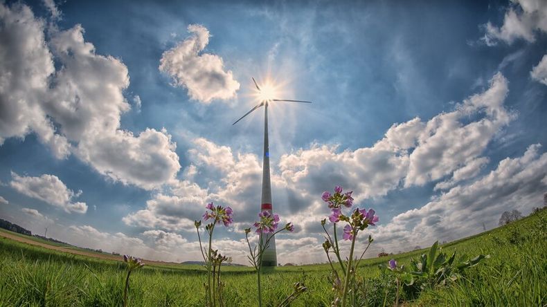 imagen de Las inversiones de “impacto” tienen un desarrollo apenas “incipiente” en Uruguay