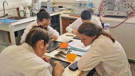 El Latu realiza el servicio de control y evaluación de los alimentos importados. Foto: LATU