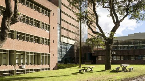 “Estas contraofensivas las tenemos todo el tiempo las mujeres”, dijo abogada del grupo Derecho y Género. Foto: Udelar