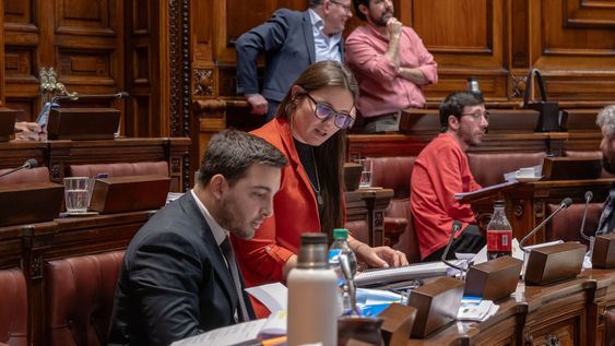 Los diputados Agustín Quintana (suplente) y Paula de Armas (Partido Colorado), Álvaro Perrone (Cabildo Abierto), Federico Preve y Alejandro Zavala (Frente Amplio). Los diputados Agustín Quintana (suplente) y Paula de Armas (Partido Colorado), Álvaro Perrone (Cabildo Abierto), Federico Preve y Alejandro Zavala (Frente Amplio).