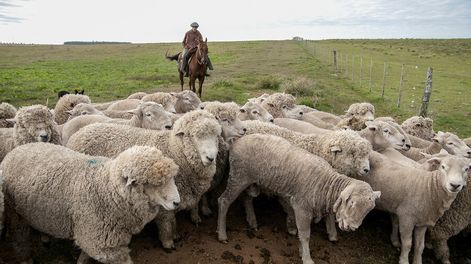 Foto: Javier Calvelo / adhocFOTOS
