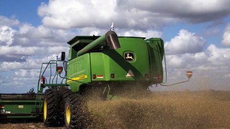 Trabajos de cosecha de soja en un campo agrícola de Florida. Foto: Pablo La Rosa, adhocFOTOS