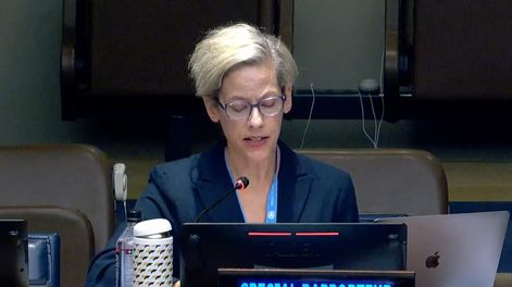 Margaret Lockwood Satterthwaite, relatora especial sobre la Independencia de Jueces y Abogados de las Naciones Unidas   &nbsp;