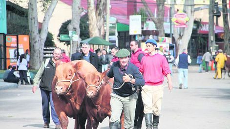 Los organizadores de la edición 115 de la tradicional Rural del Prado destacan que esa muestra es a cielo abierto,? lo que reduce el riesgo de contagio de Covid