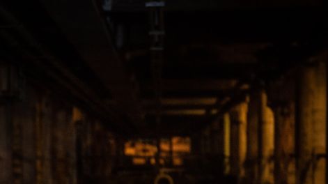 imagen de Tengo miedo de elegir un camino en el que no pueda maximizar mi felicidad