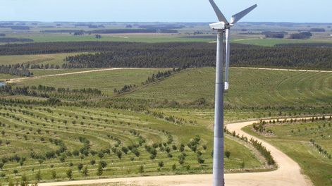 imagen de En un año “pobre” en inversión, proyecto del argentino Bulgheroni fue el más grande con exoneración fiscal