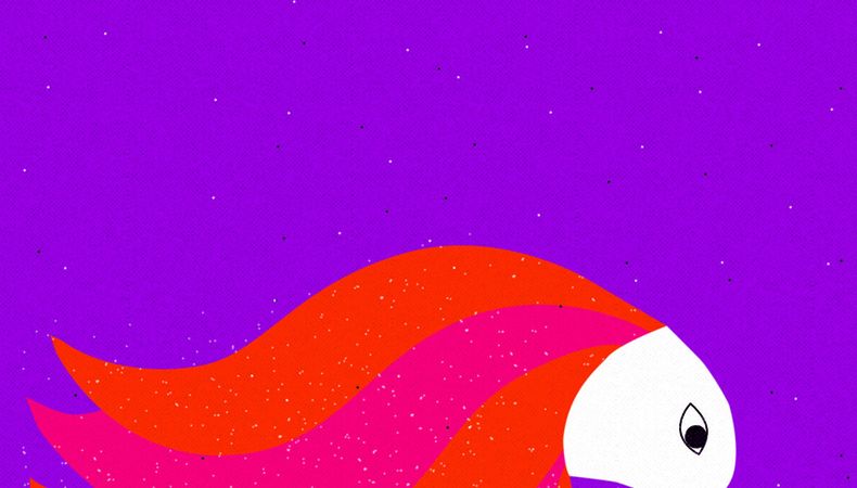 Nuestra tapa 977, por el ilustrador Dani Scharf