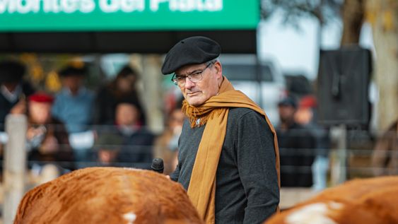 Leyenda: El jurado Santiago Bordaberry durante las calificaciones de la Expo Nacional Hereford en Rivera.
