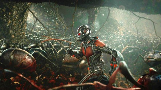 imagen de Micropoderes existentes imagen de Micropoderes existentes