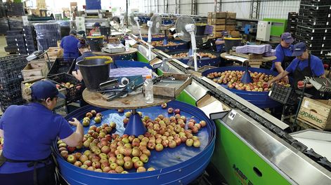 Foto: Javier Calvelo, AdhocFOTOS