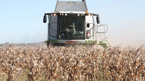 El gobierno intenta promover la tecnificación del campo. Foto: Nicolás Der Agopián / Búsqueda