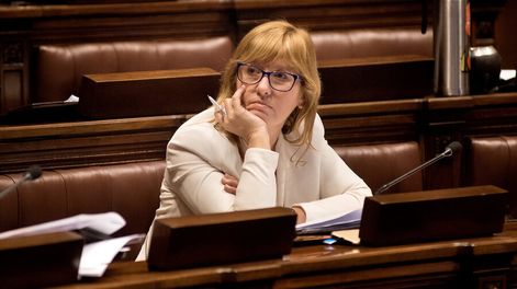 La diputada del Frente Amplio Cristina Lustemberg. Foto: Ricardo Antúnez / adhocFOTOS