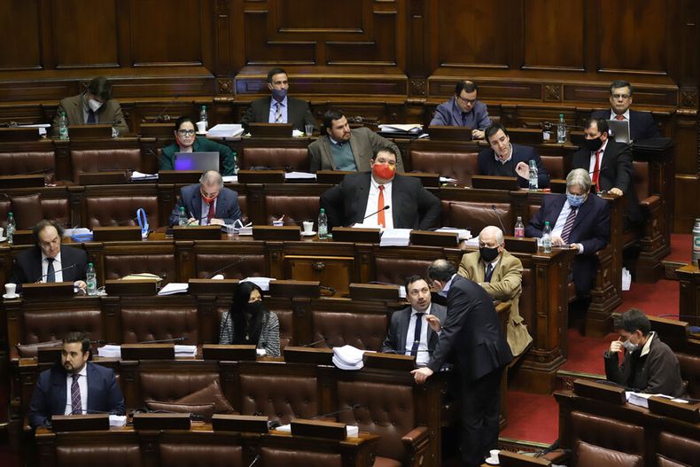 Foto: Nicolás Der Agopián / Búsqueda