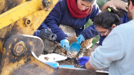Antropólogos trabajando en el Batallón 14 tras confirmar el hallazgo de restos humanos. Foto: Daniel Rodríguez / adhocFOTOS