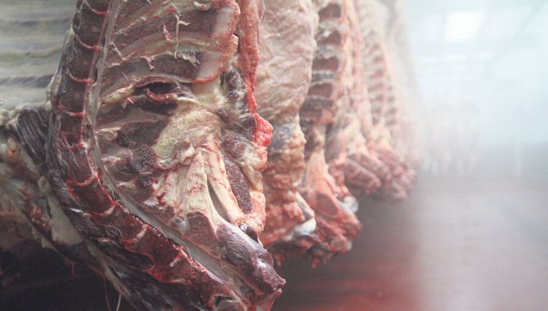 Carne vacuna: no es un problema de mercados?