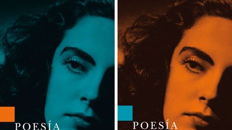 Búsqueda | 68198.jpg