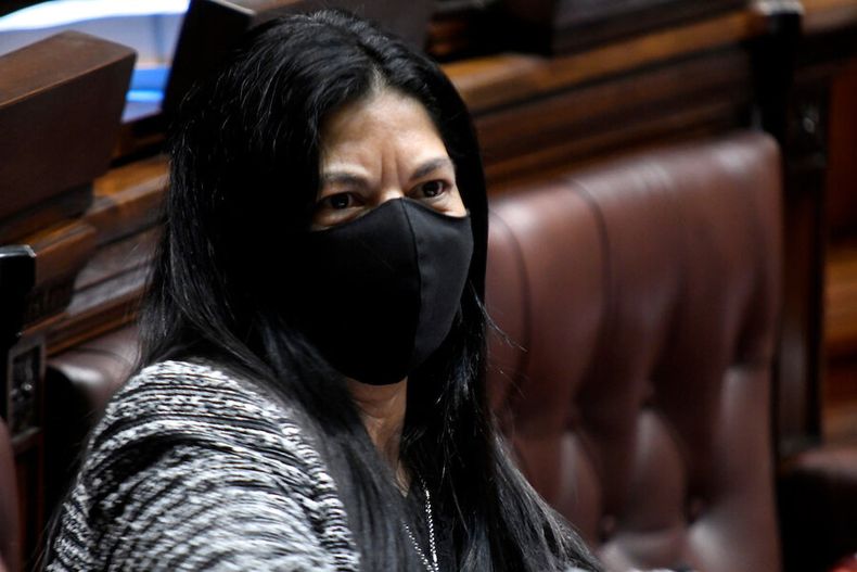 Elsa Capillera en la Cámara de Representantes del Palacio Legislativo. Foto: Javier Calvelo / adhocFOTOS