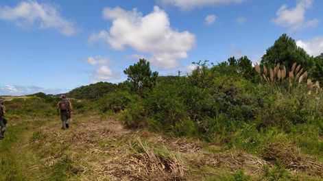 Búsqueda | Vecinos de la zona comenzaron a juntar firmas para que se retome la construcción del camino. Foto: Ministerio de Ambiente.