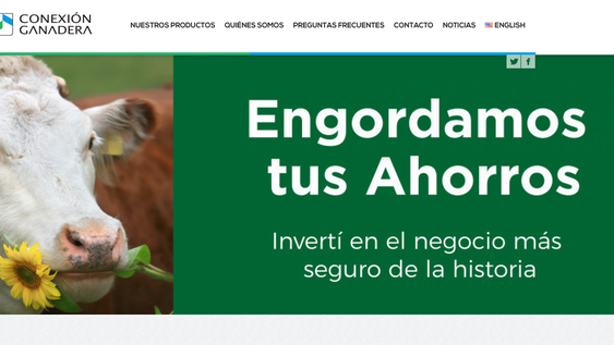 Captura de la página web de Conexión Ganadera, promocionando inversiones en ganado. Captura de la página web de Conexión Ganadera, promocionando inversiones en ganado.