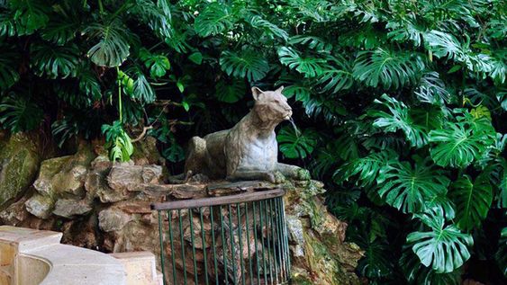 imagen de Justicia suspendió exploraciones mineras en Lavalleja que podrían afectar la calidad del agua mineral de Salus imagen de Justicia suspendió exploraciones mineras en Lavalleja que podrían afectar la calidad del agua mineral de Salus