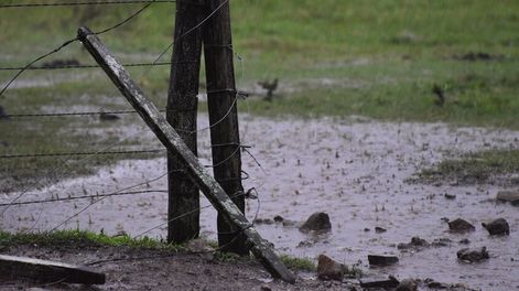 Foto: Agro de Búsqueda