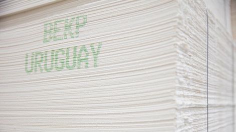 La puesta en funcionamiento de UPM 2 elevó la oferta mundial de celulosa. Foto: UPM