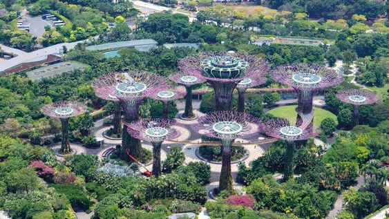 Gardens by the Bay, en Singapur Gardens by the Bay, en Singapur