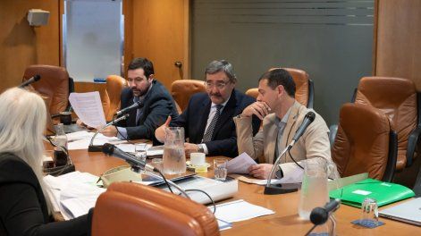 El proyecto de eutanasia fue aprobado por mayoría en la Comisión de Salud de Diputados&nbsp;&nbsp;