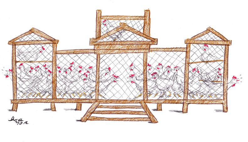 Junior Gallinero Legislativo