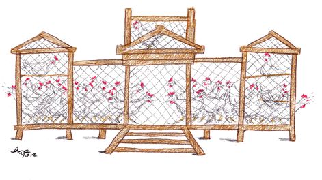 La semana vista por Junior