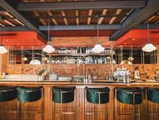 Boulevard de las Palmeras. Boulevard de las Palmeras.