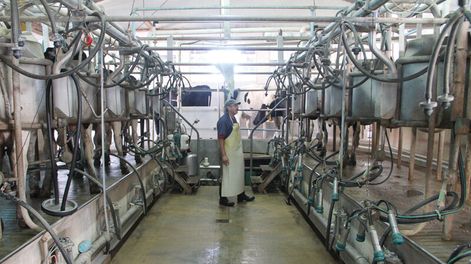 imagen de Las industrias que vienen a instalarse en el país “son los chulos de la lechería mundial”, dijo el titular del Inale