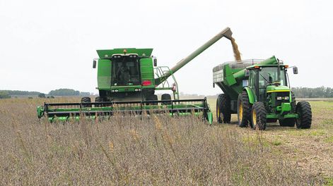 Los productores argentinos vinieron a Uruguay para la cosecha de soja, que coincidió con el inicio de la emergencia sanitaria por el coronavirus.