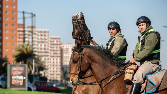 La Policía montada suele desplegarse en espacios abiertos como la Rambla de Montevideo. Foto: Nicolás Garrido / Búsqueda La Policía montada suele desplegarse en espacios abiertos como la Rambla de Montevideo. Foto: Nicolás Garrido / Búsqueda