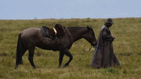 La compra y dosificación de la vacuna está a cargo de los particulares