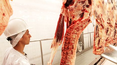 Hay un déficit de 150 inspectores para hacer los controles sanitarios, según el sindicato de Ganadería. Foto: Nicolás Der Agopián / Búsqueda