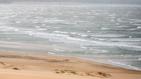 Búsqueda | Playa cercana a La Perla, Rocha. Foto: Santiago Mazzarovich / adhocFOTOS