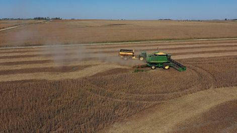 Foto: Pablo La Rosa / adhocFOTOS