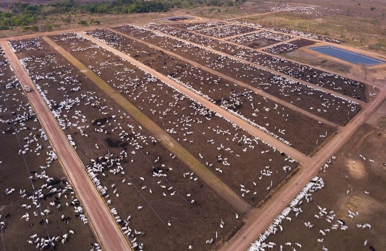 La oferta de carne exportable de Brasil aumentó por una fuerte caída del consumo interno luego de la pandemia. Foto: Agro Búsqueda