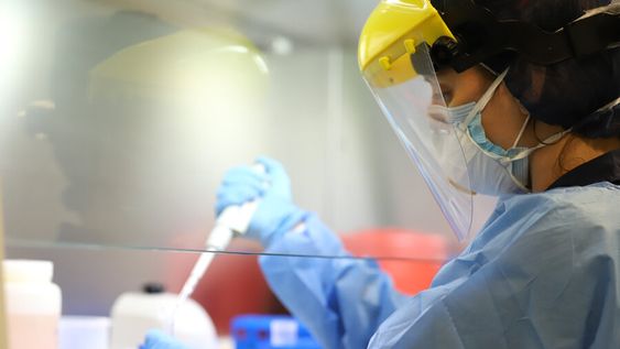 Foto: Nicolás Der Agopián / Búsqueda Foto: Nicolás Der Agopián / Búsqueda