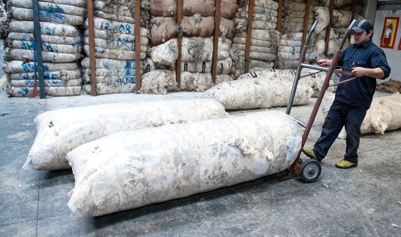 Produccion lanera en Uruguay