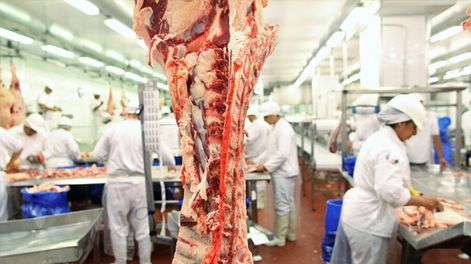 imagen de La situación de valores de los vacunos genera una “bola de  nieve” en la ganadería y brinda rentabilidad, según Opypa