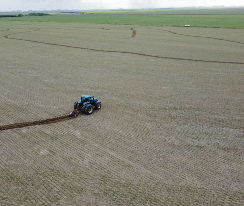 La tecnología RTK cambió la forma de sacar el agua acumulada en las chacras