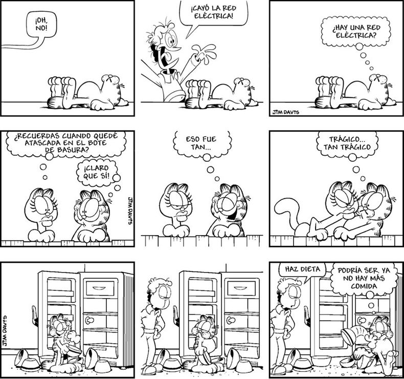 imagen de Garfield