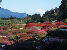un viaje a hakone, el japon mas sereno y autentico un viaje a hakone, el japon mas sereno y autentico