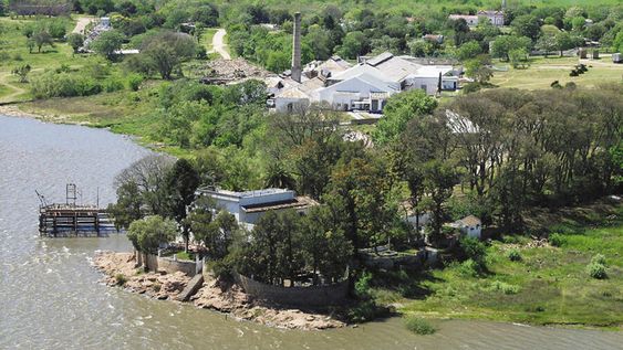 En lo que va de este año Fricasa llegó a un 2,2% del total de la faena de vacunos, con unas 46.000 cabezas. Foto: El Telégrafo En lo que va de este año Fricasa llegó a un 2,2% del total de la faena de vacunos, con unas 46.000 cabezas. Foto: El Telégrafo