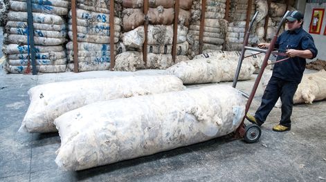 Produccion lanera en Uruguay