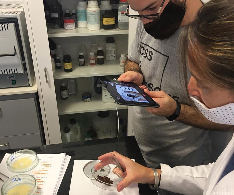 Martín Zanoniani y Virginia Gross hacen una práctica en vivo en el laboratorio de Paysandú. Foto: Utec