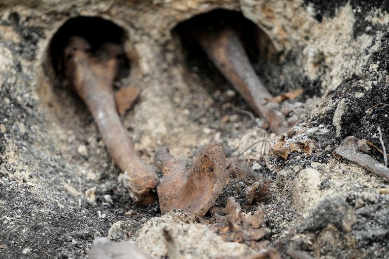 Hallazgo de restos óseos humanos en un predio del Batallón 14, en Toledo, Canelones